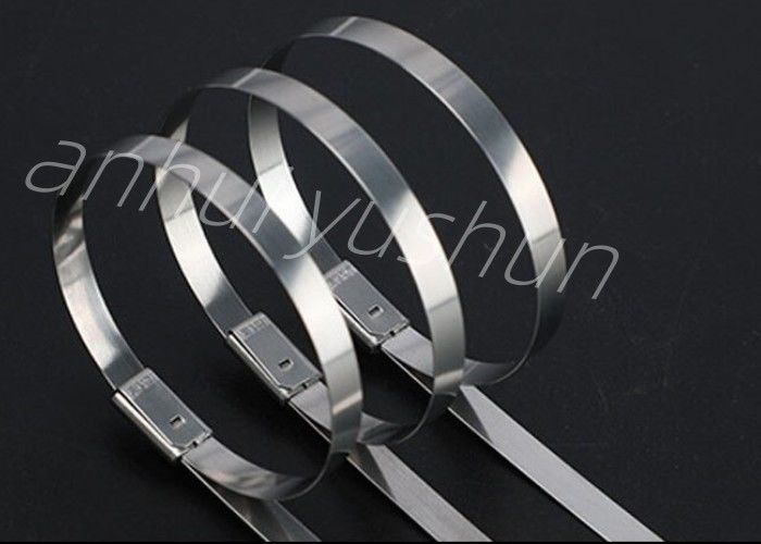 type inoxydable résistant de boucle du serre-câble SS316 de 700mm
