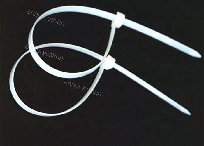 OEM 2.5*100mm Cable de nylon en plastique
