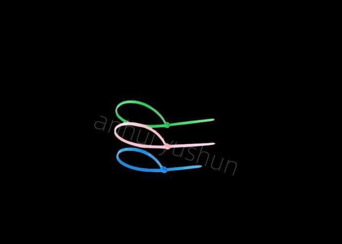 Type fabricants en nylon en plastique de boucle de serre-câble d'espace libre 200mm